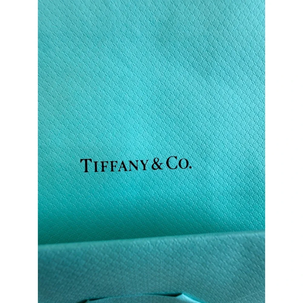 Tiffany & Co Blue Paper Gift Bag and Drawstring Jewelry Pouch Set